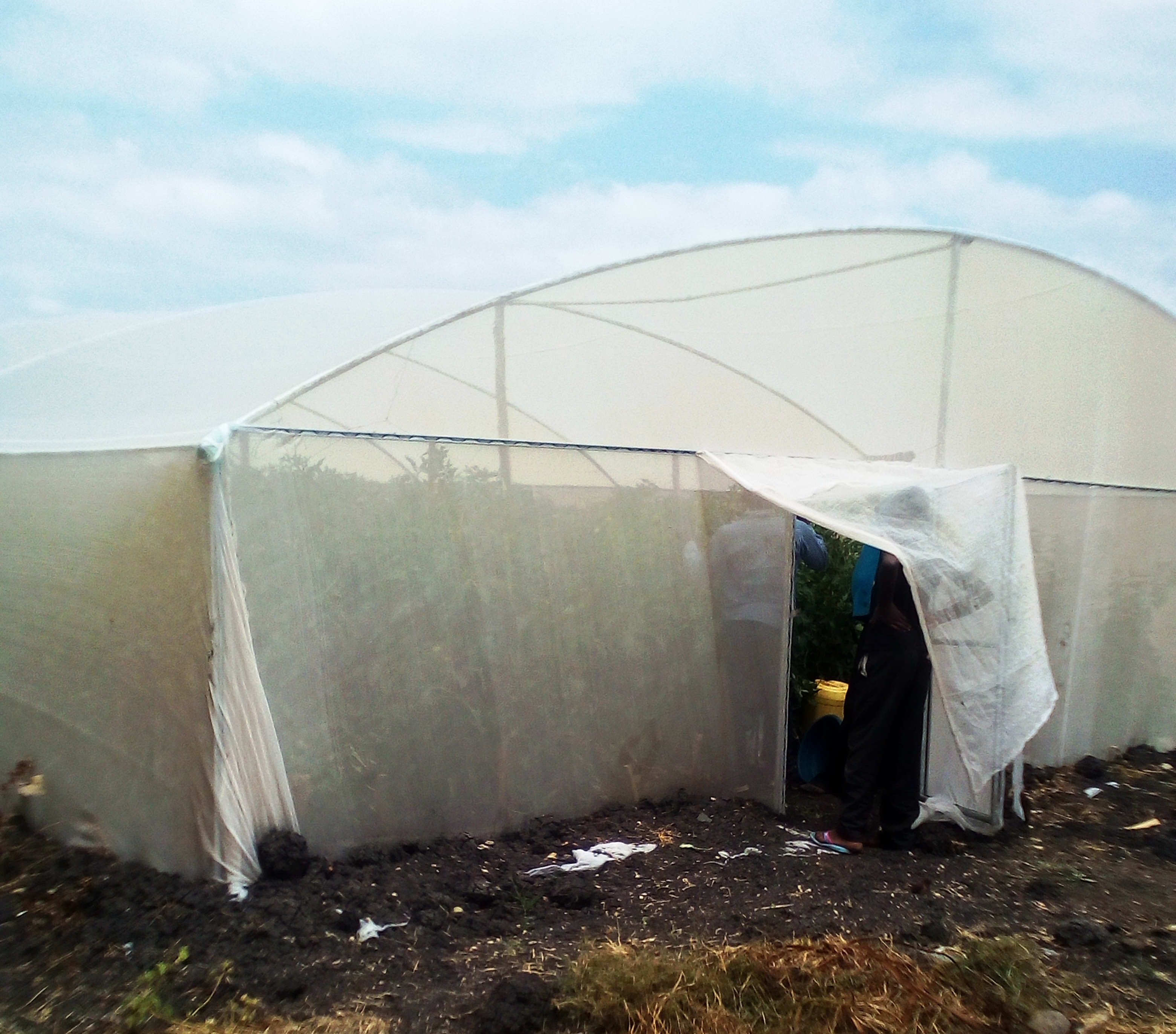 Net house supplier in Nairobi